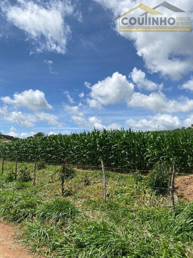 WhatsApp Image 2025-12-11 at 13.22.51.jpeg